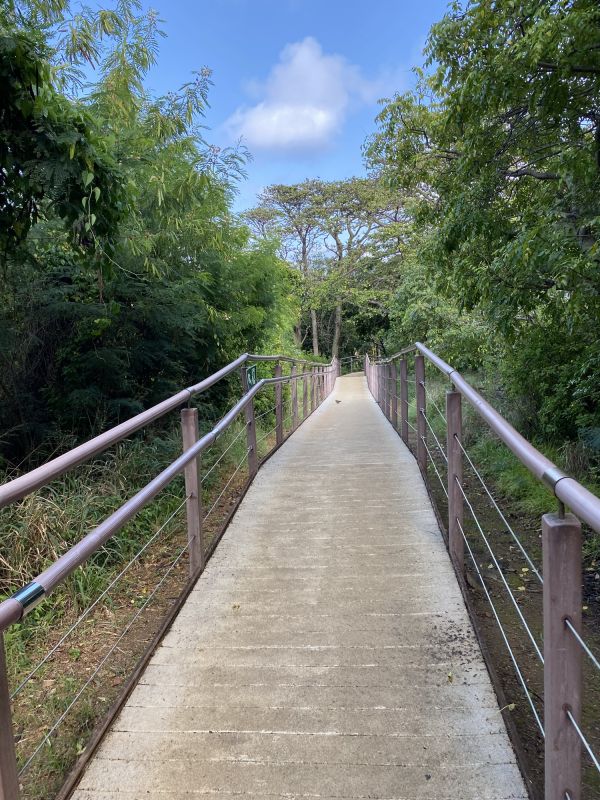 Concrete Path Installation