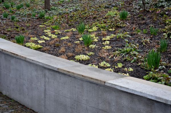 Cost of Concrete Wall Pouring in Asheville