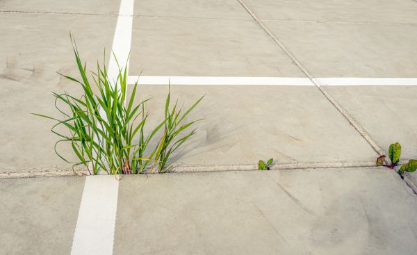 Concrete Parking Installation in Asheville